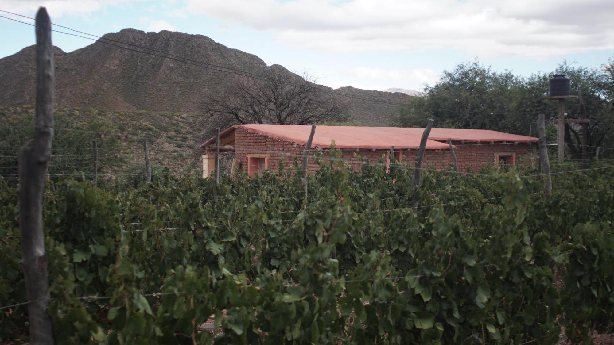 Hospedaje Finca La Encantada Seclantas Exterior photo